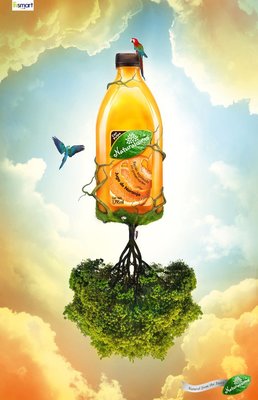 视觉幻境 Photoshop创意广告设计中的观念盛宴